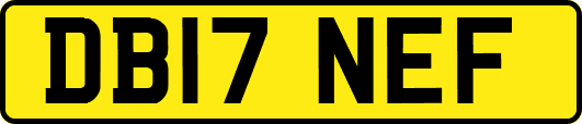 DB17NEF