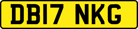 DB17NKG