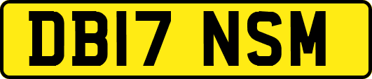 DB17NSM