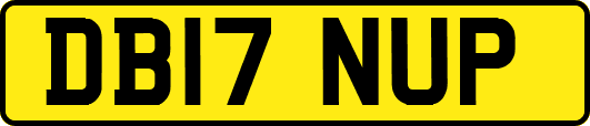 DB17NUP