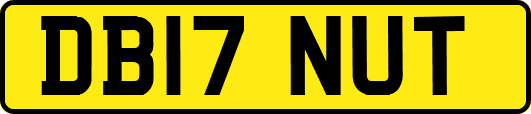 DB17NUT