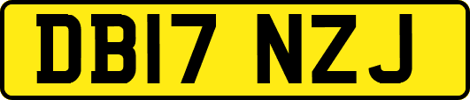 DB17NZJ