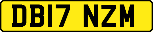 DB17NZM