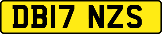DB17NZS