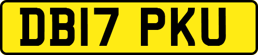 DB17PKU