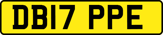 DB17PPE