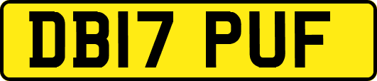 DB17PUF