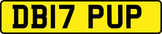 DB17PUP