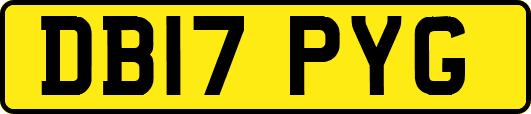 DB17PYG