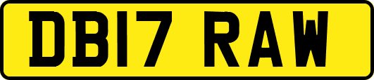 DB17RAW