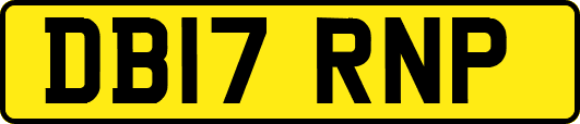 DB17RNP