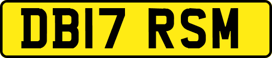 DB17RSM