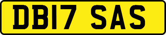 DB17SAS