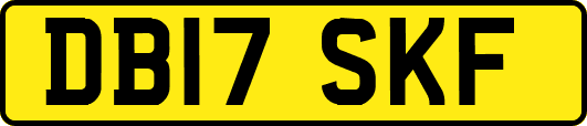 DB17SKF