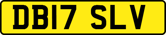 DB17SLV