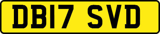 DB17SVD