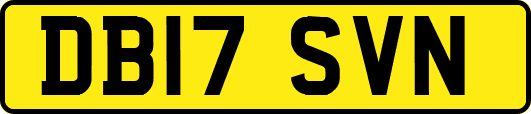 DB17SVN