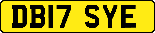 DB17SYE