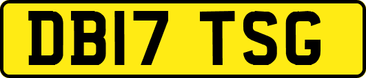 DB17TSG