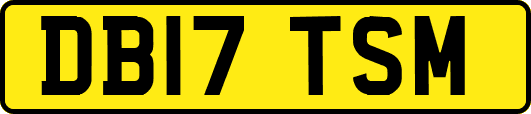 DB17TSM