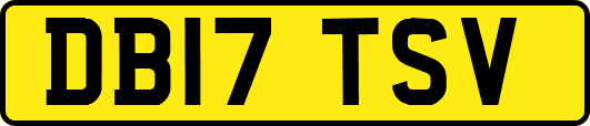 DB17TSV
