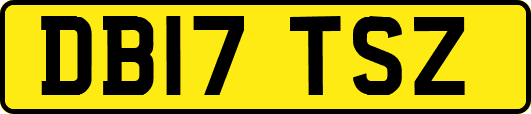 DB17TSZ