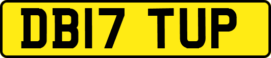 DB17TUP