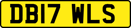 DB17WLS