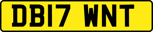 DB17WNT
