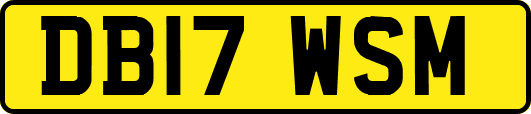 DB17WSM