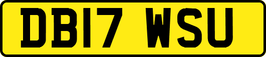 DB17WSU