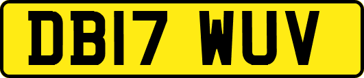 DB17WUV