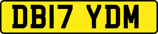 DB17YDM