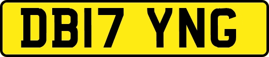 DB17YNG