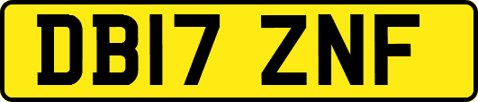 DB17ZNF