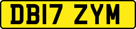 DB17ZYM