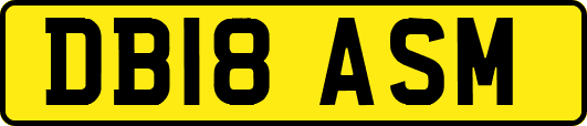 DB18ASM