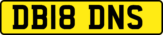 DB18DNS