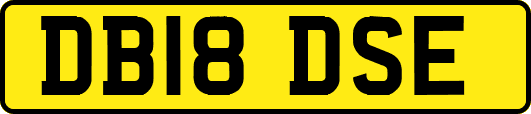 DB18DSE