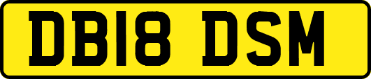 DB18DSM