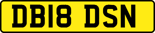 DB18DSN