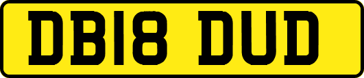 DB18DUD