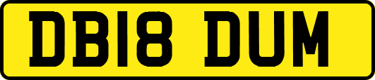 DB18DUM