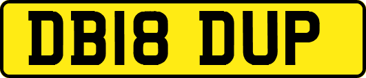 DB18DUP