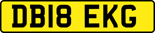 DB18EKG