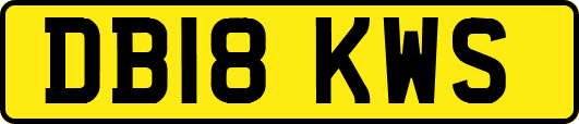 DB18KWS