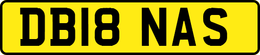 DB18NAS