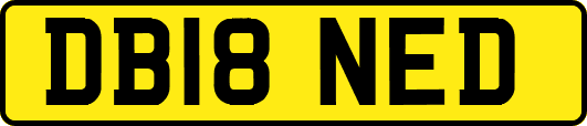 DB18NED