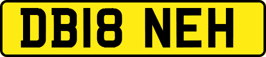 DB18NEH