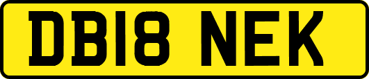 DB18NEK